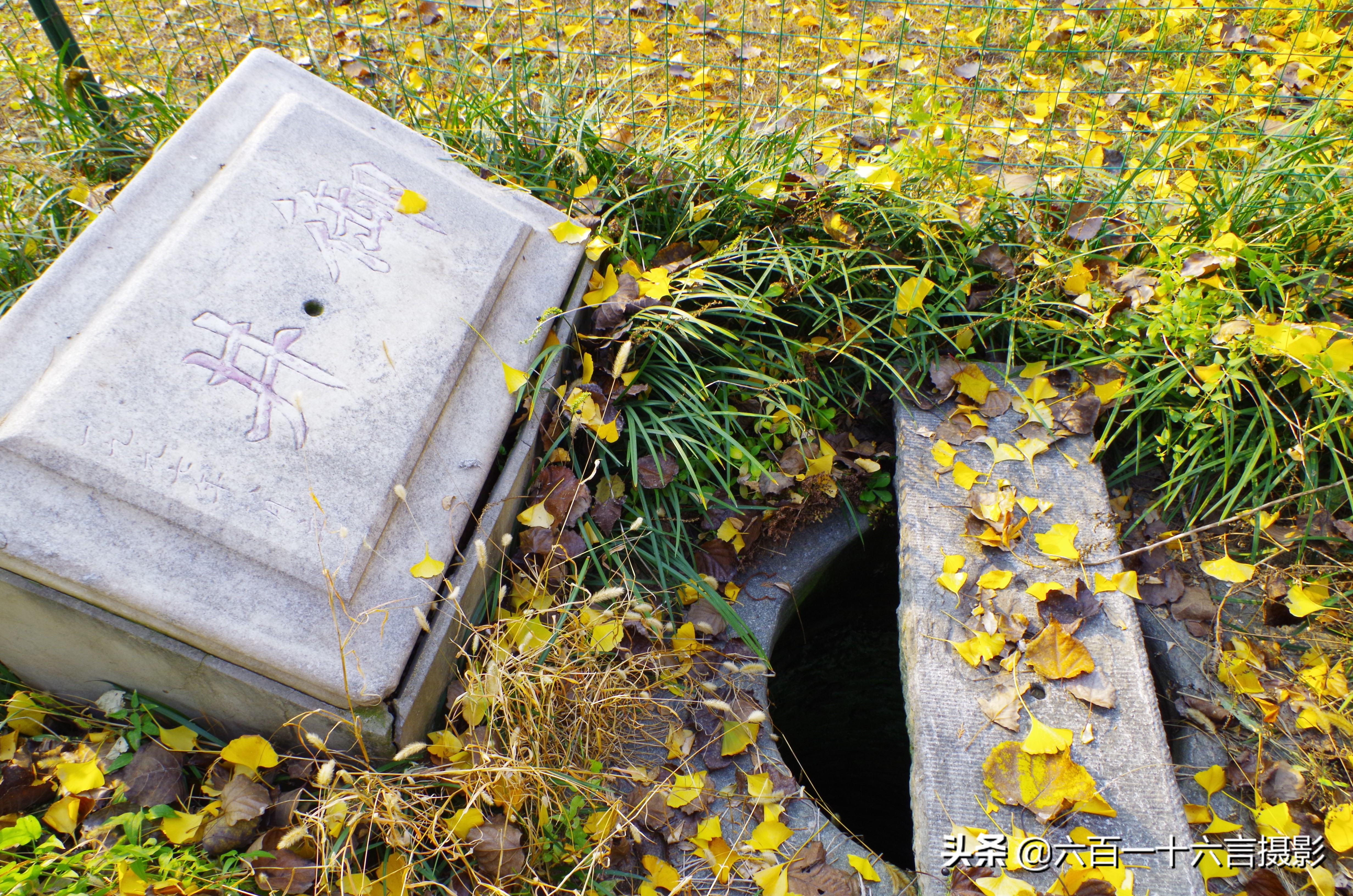 这里是正定04:传说中的御井长这样