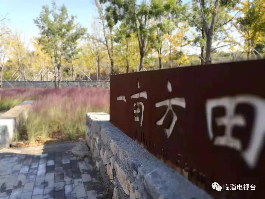 淄博市经济社会发展现场观摩点评,2020年度淄博市经济社会发展