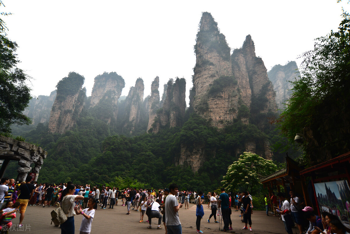 我们也是发小——张家界游记（作者娄辰）