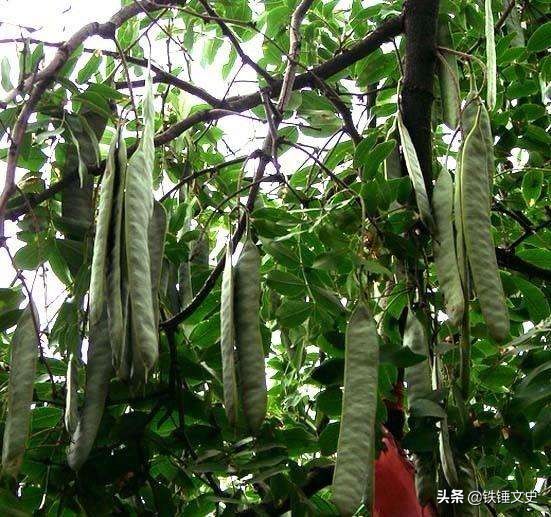 古代清洁物品有哪些,古代洗澡用的清洁用品