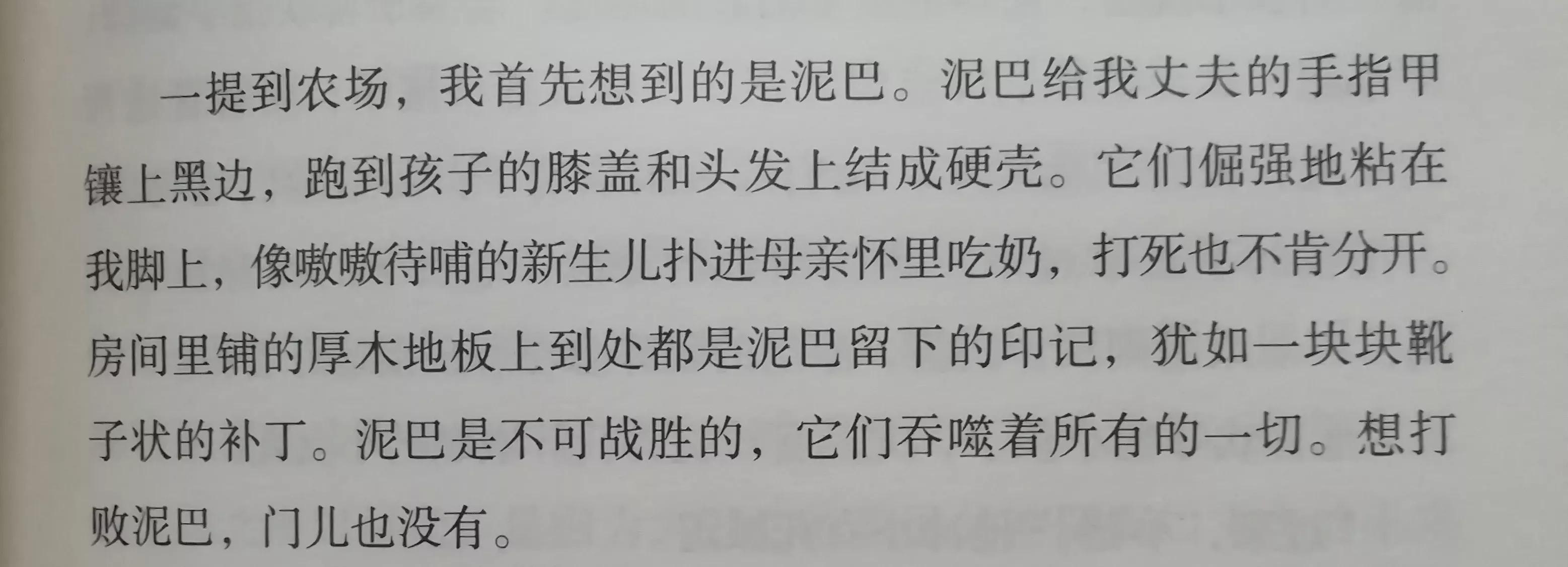 「美」希拉莉•乔顿《泥土之界》