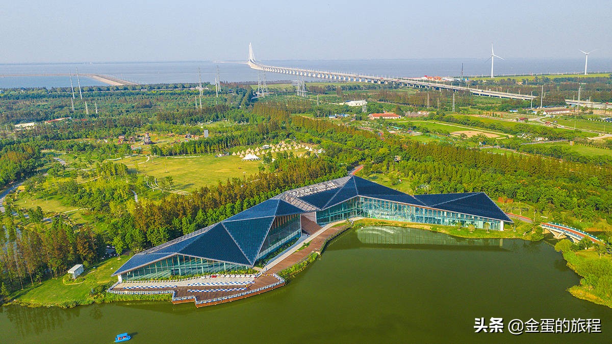 不出上海有哪些地方旅游,不出上海玩的景点排行榜