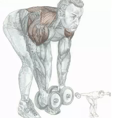 十款便宜又好用的家居好物 (家居必买十大好物)