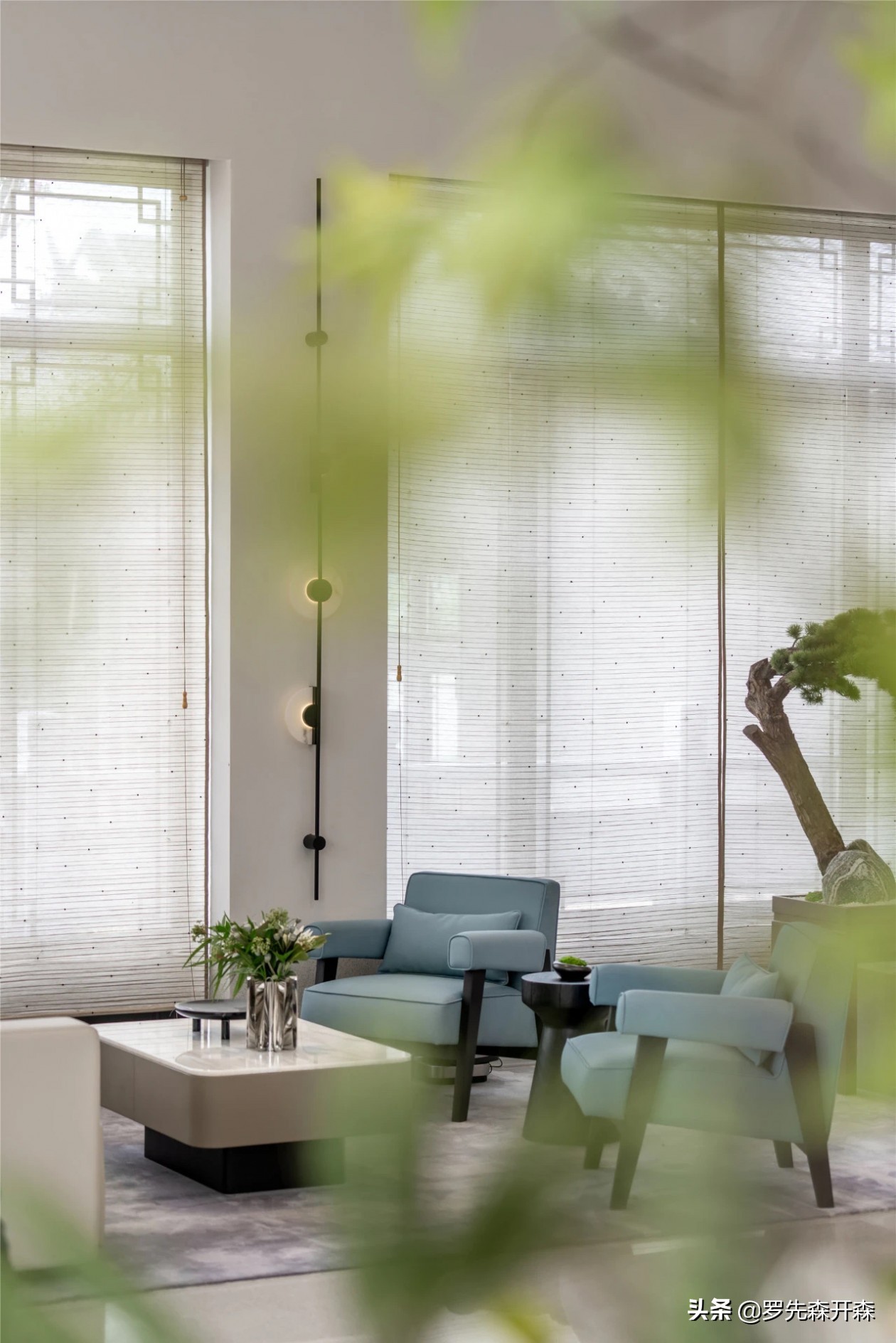 乌镇雅园生活攻略,乌镇雅园入口景观