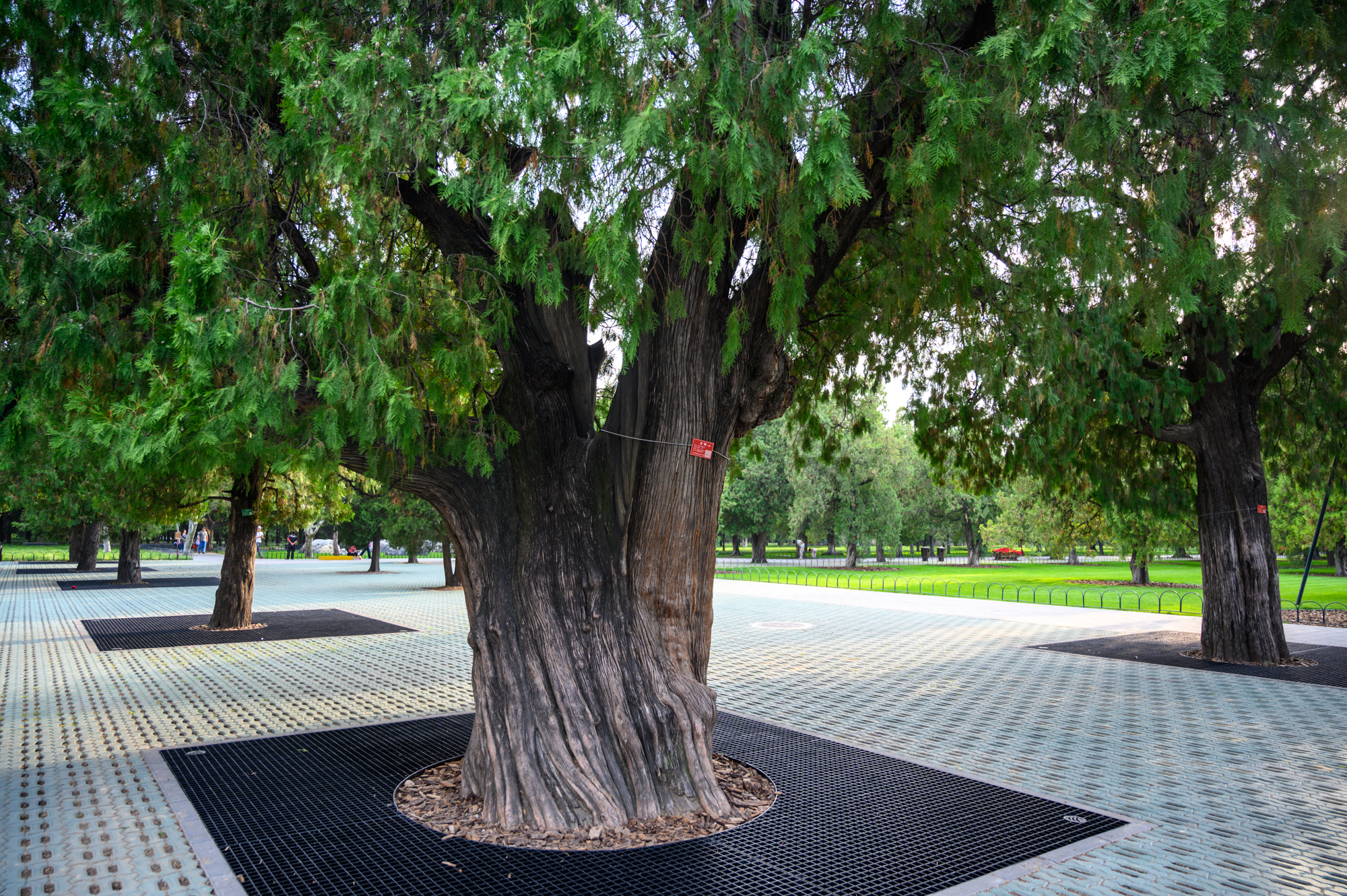 天坛公园斋宫正殿无梁殿,北京天坛古代帝王祈求丰收的圣地