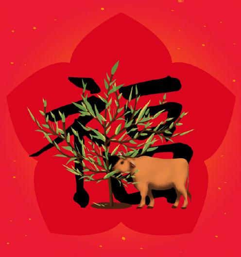 支付宝花花卡怎么获得,支付宝花花卡有人中奖吗