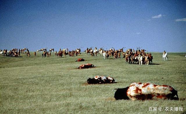 西方为何灭绝印第安人，只用黑人当奴隶呢？