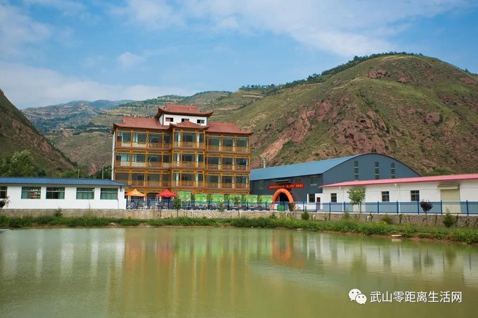 武山龙台油菜花节,湖口县武山油菜花节