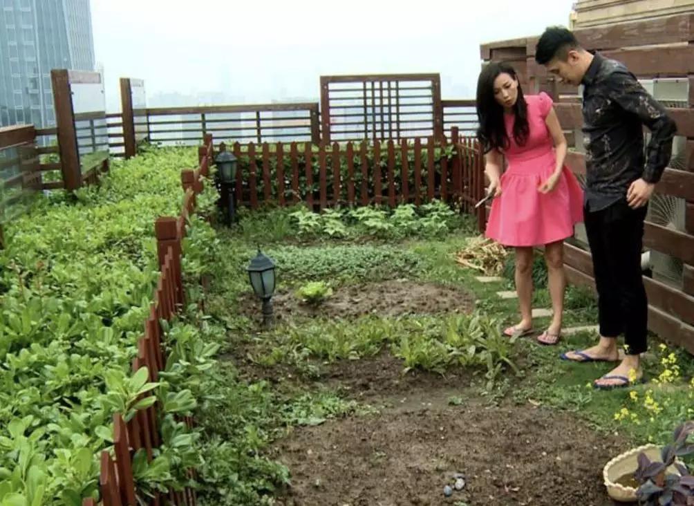 张庭为什么会做微商,你瞧不起的明星