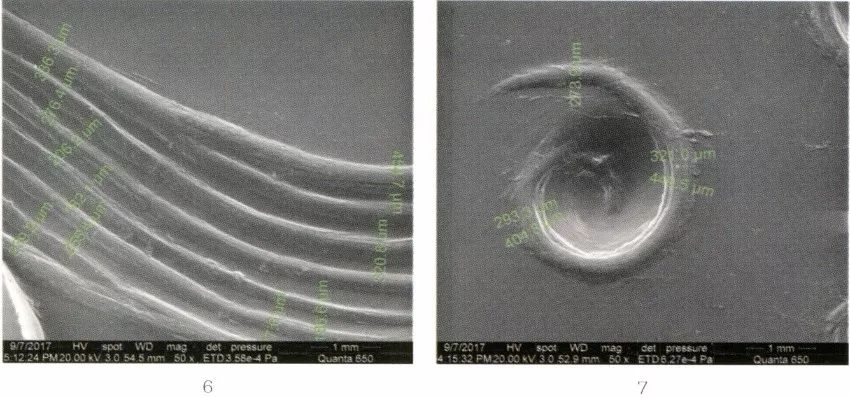 江苏徐州狮子山楚王墓陶俑,狮子山楚王大墓玉器