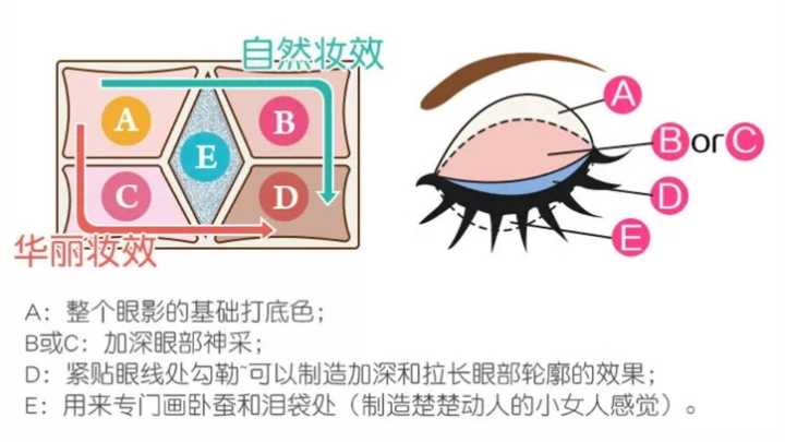 新手化妆教程简单几步,新手半联动起步演示教程