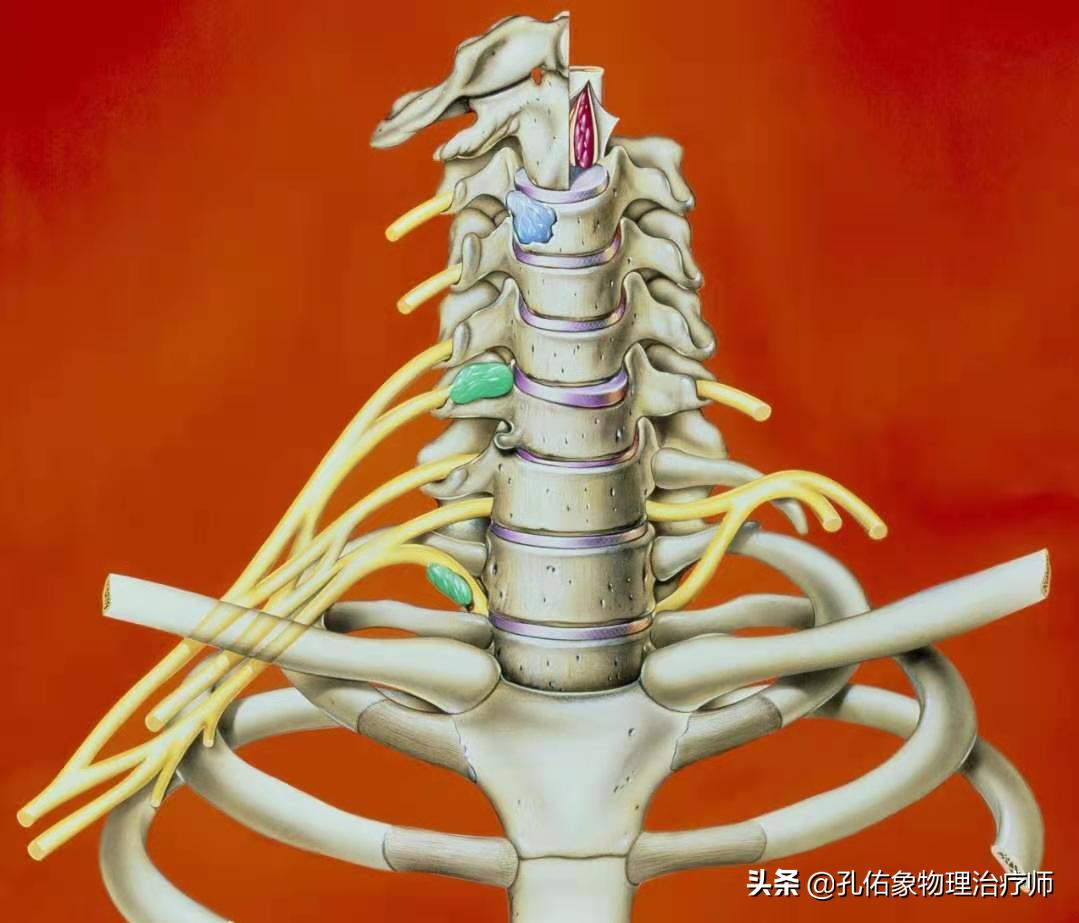 肩膀疼痛一般是什么原因引起的,肩膀疼跟哪些病因有关系