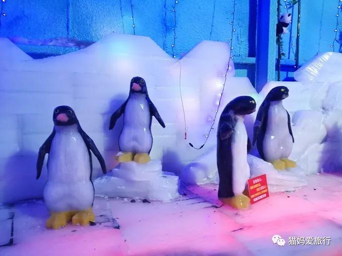 齐河附近带孩子自驾游景点,周边亲子游齐河