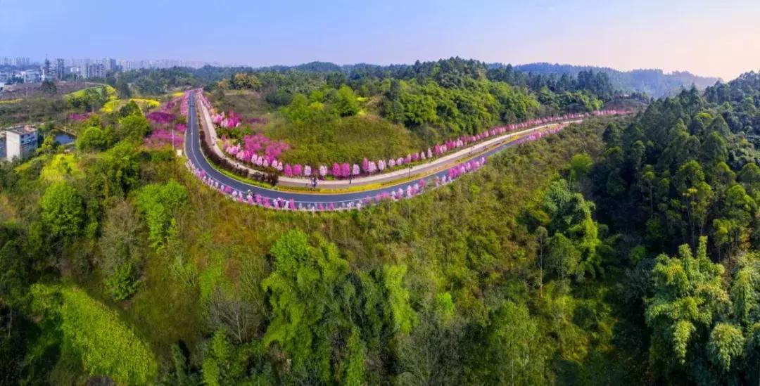 庆祝新中国成立70周年新闻报道,庆祝新中国成立70周年特辑宣讲