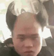 搞笑鸡下蛋恶搞图片,鸡图搞笑图片