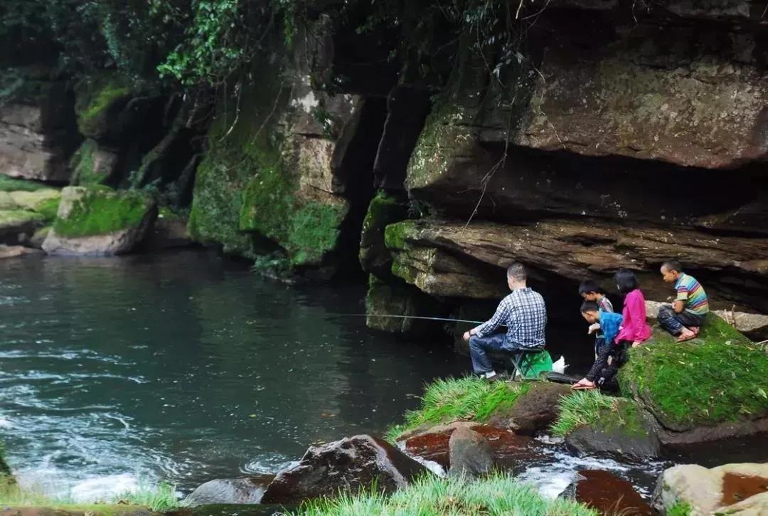 雅安旅行攻略亲子游,雅安市旅行攻略自由行路线