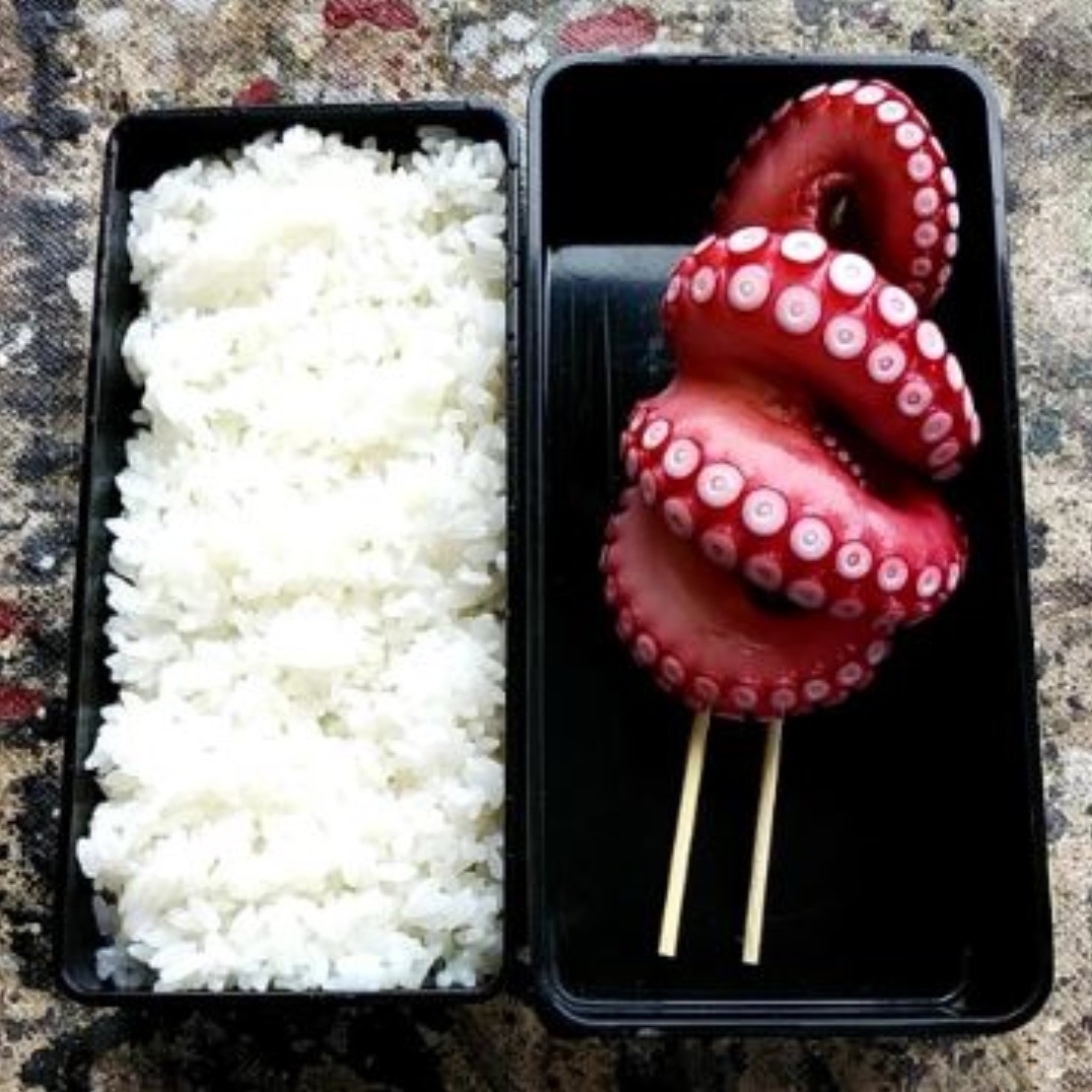 10分钟懒人便当,日本便当全过程