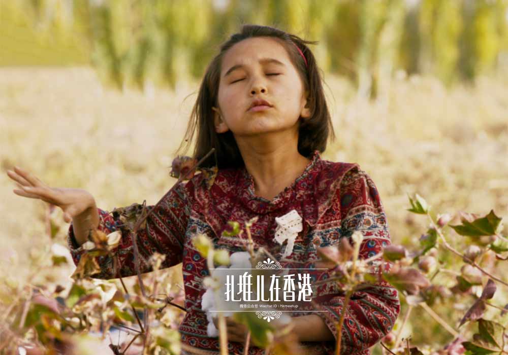 奥斯卡提名的香港电影,香港第一部入围戛纳电影节的电影