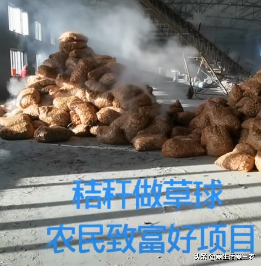 十大赚钱冷门生意,赚钱的冷门生意有哪些