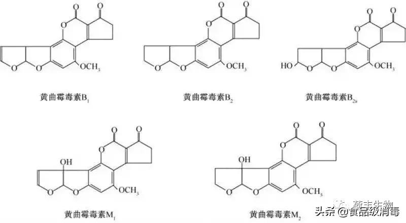 中药黄曲霉素超标为什么,中药材如何去除黄曲霉