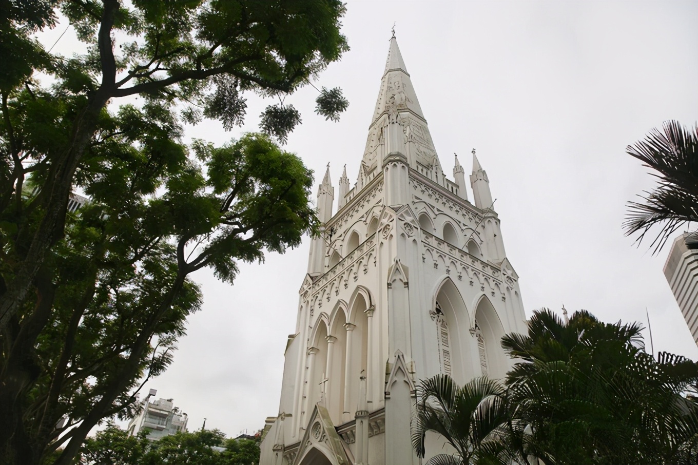 「怀念系列」新加坡|平价米其林+小众景点,3.5D我们不走寻常路3