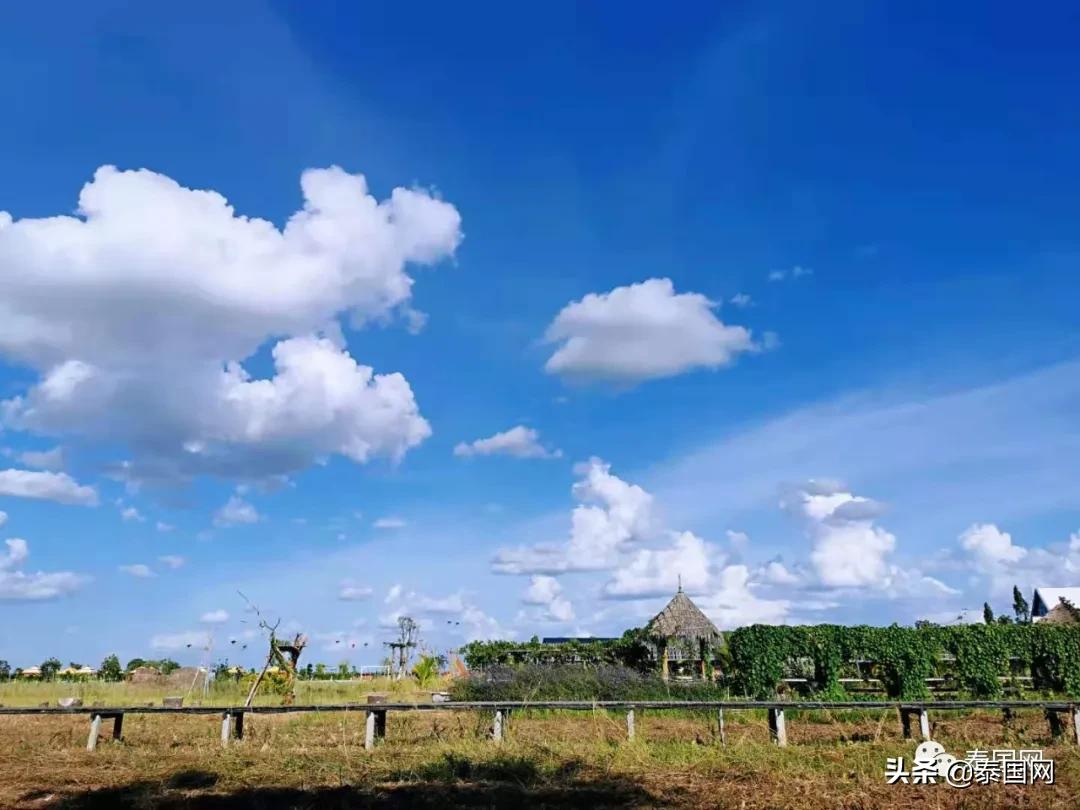 泰国市中心五星酒店推荐,曼谷性价比最高的5星级酒店