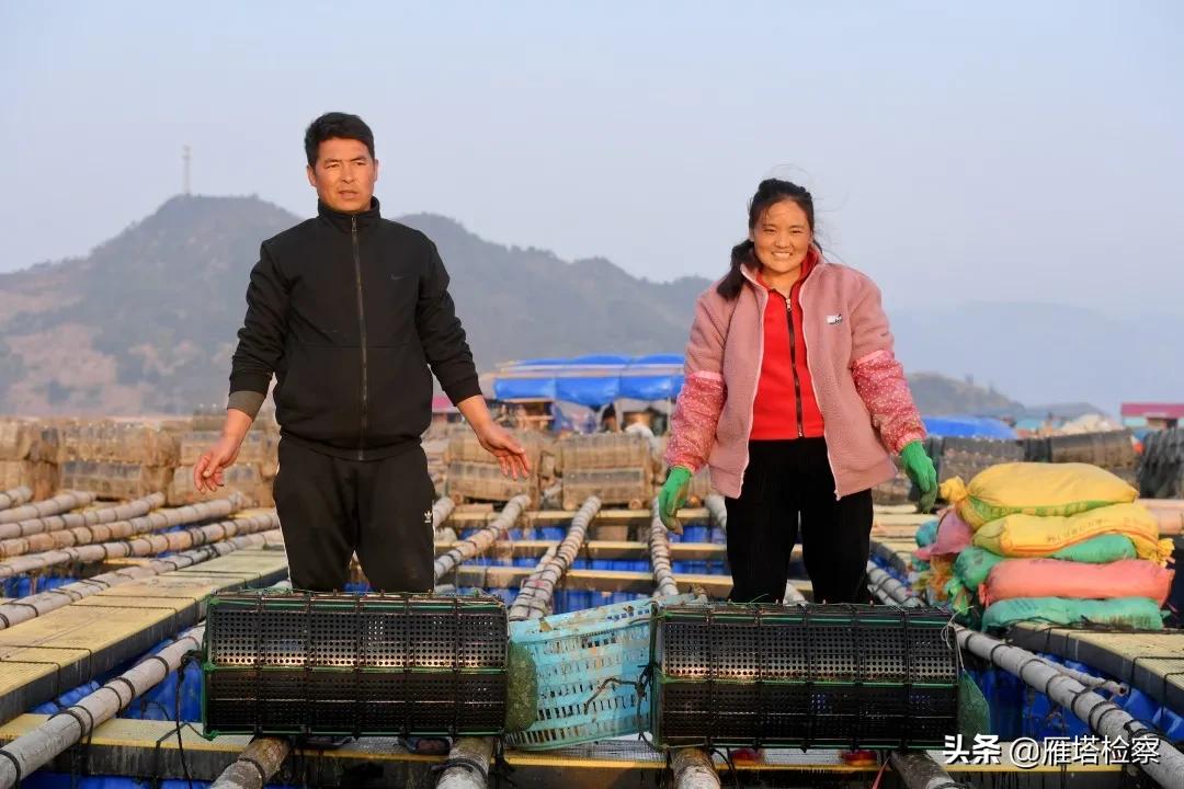 回顾脱贫攻坚波澜壮阔的伟大历程,彪炳史册的伟大奇迹全文