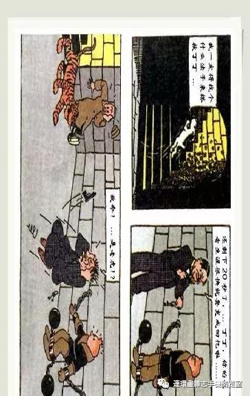 丁丁和丁丁历险记论文,丁丁历险记丁丁的服装