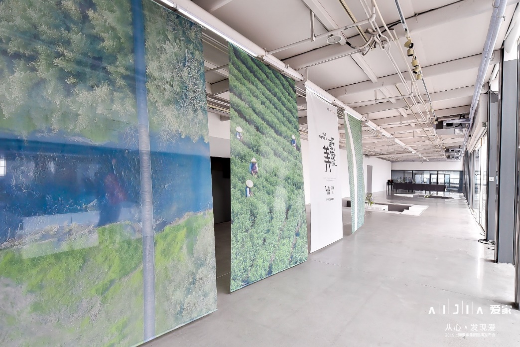 爱家集团主营业务,爱家集团公司