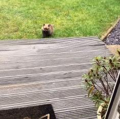 第一次人机大战电影,第一次人机战争