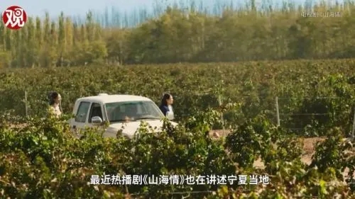 为什么不同产区的葡萄酒差别很大,为什么喜欢喝进口啤酒