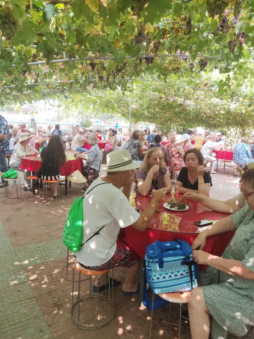 秦皇岛昌黎海边附近农家院,秦皇岛海边农家乐民宿