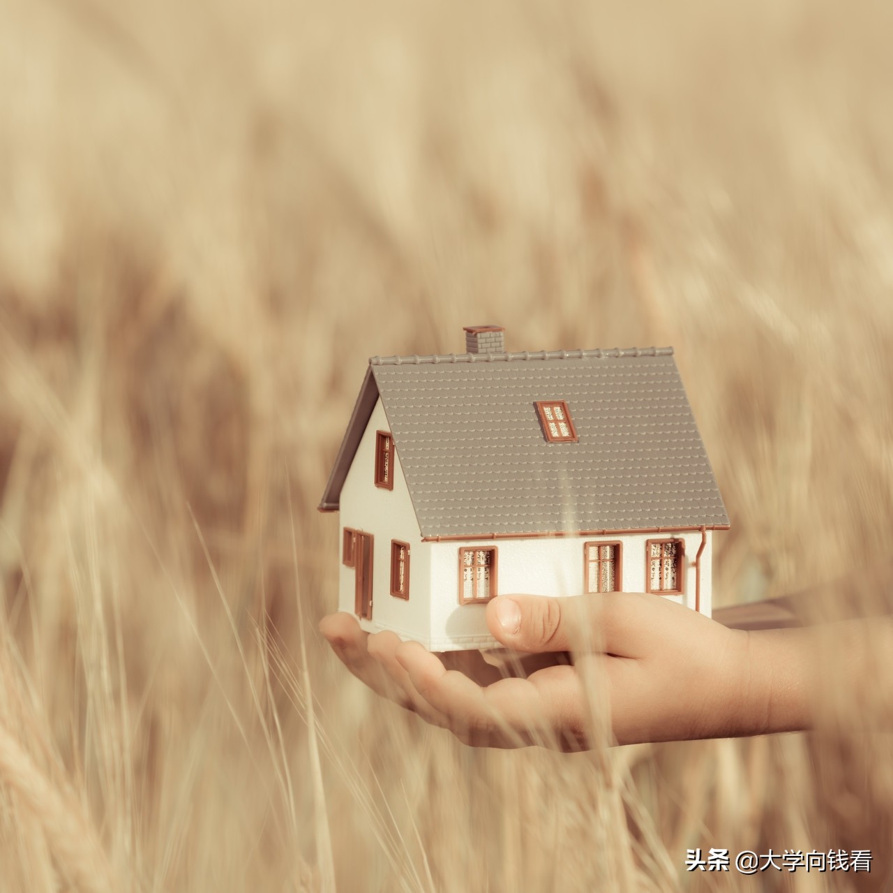 获取大学生流量降龙十八掌之第三掌:成群引流