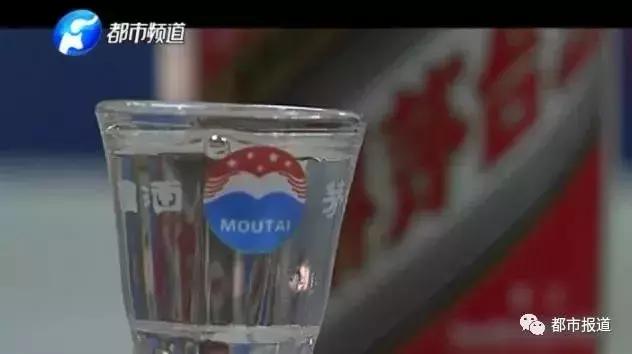 2019“都市特训营”最强招募令！这份英雄帖，你接不接？