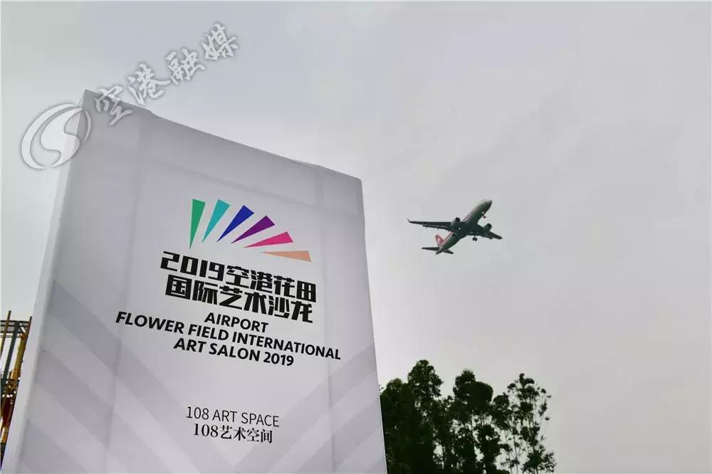 双流哪里可以赏花看飞机,双流附近赏花攻略路线