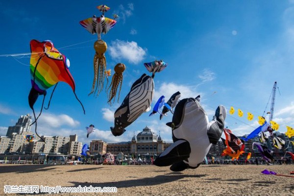 我去！第一个明明就是国际吃货节，荷兰九月大型活动抢先公布
