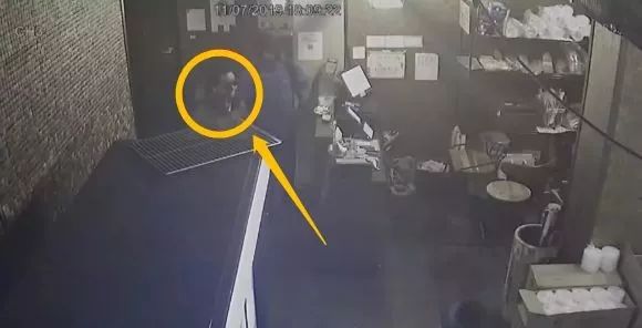 加拿大鹅街头被抢,加拿大鹅10天被抢七次