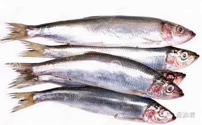 欧洲超市的鱼是活的吗,欧洲超市常见海鲜