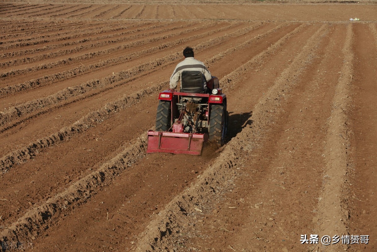 农村户口转城镇户口宅基地怎么办,农村户口转城镇以前农保怎么办