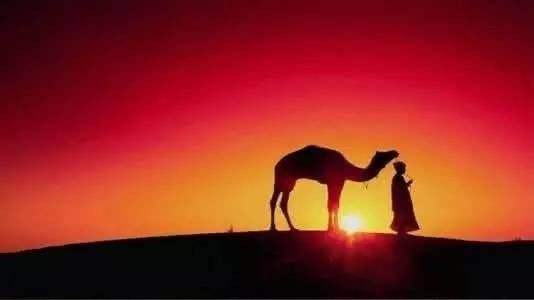 当你众叛亲离时该怎么办,当你陷入绝境