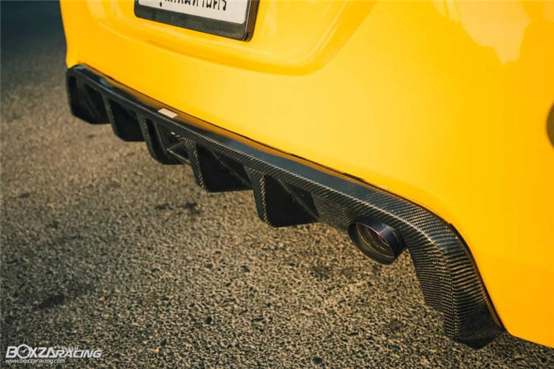 铃木雨燕小乳鸽,雨燕乳鸽