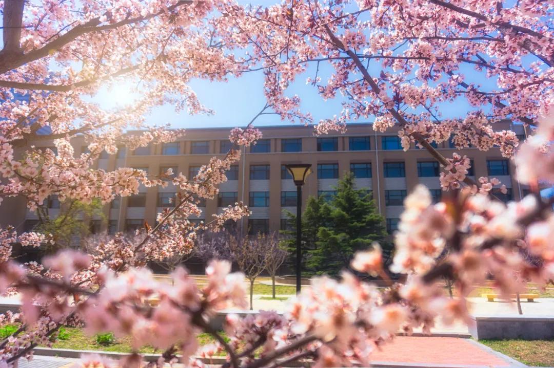 三亚和厦门哪一个更值得去旅游,三亚和厦门哪个更值得去旅游