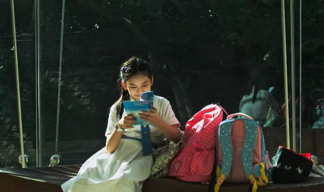 好父母不吼不叫案例分享,好父母不吼不叫阅读