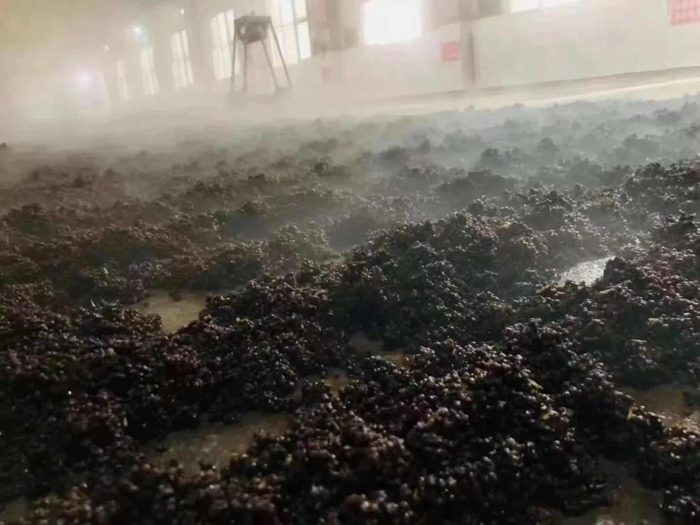 喝好酒喝怀庄酱酒,酿好酒喝好酒