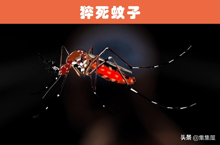 世界上有没有转基因生物,最早的转基因生物