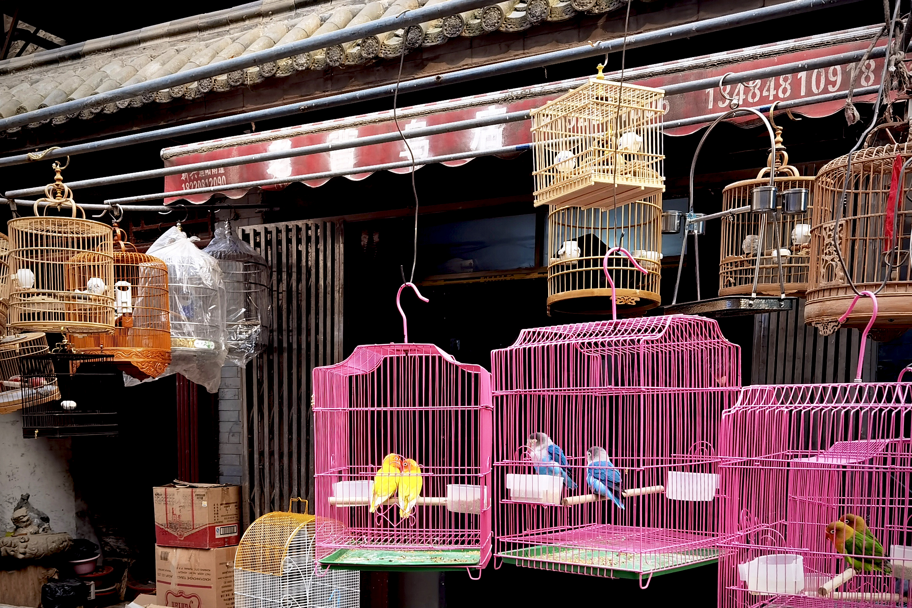 西安最有烟火气的小南门早市,西安值得打卡的南门早市