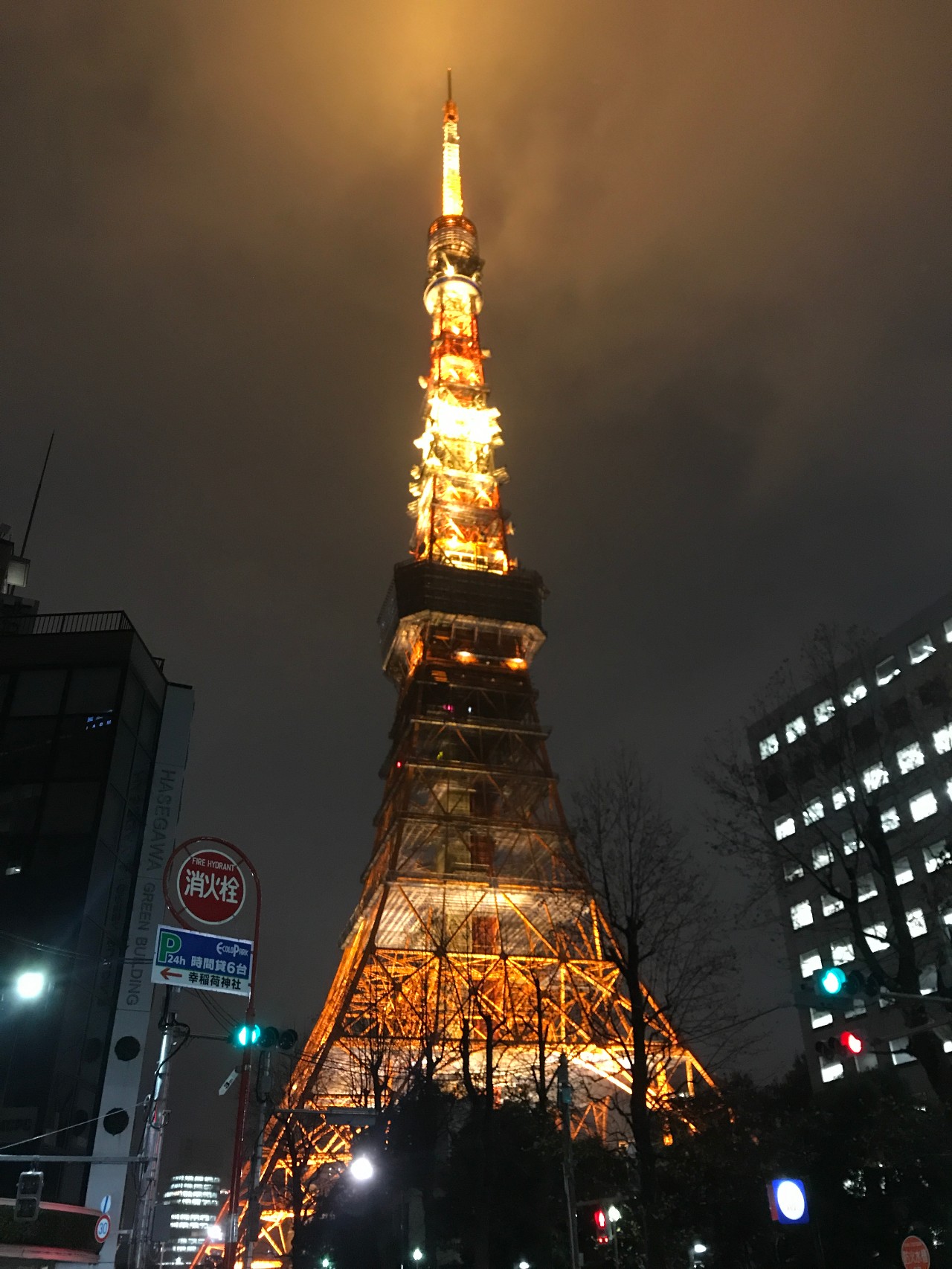 东京自由行攻略详细介绍大全,东京自由行攻略详细介绍视频大全