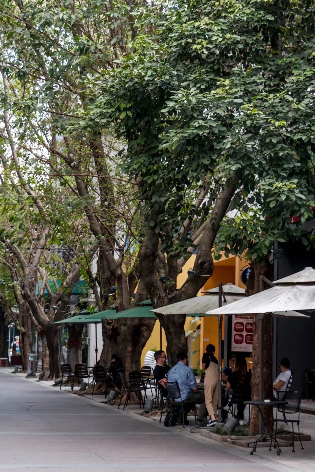 深圳十个小众打卡地,在深圳这些地方既小众又值得打卡