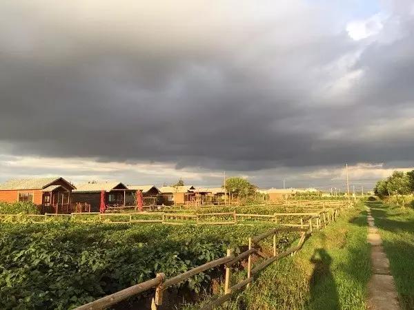 乐田市民家庭农场，德国海归博士送给女儿的礼物