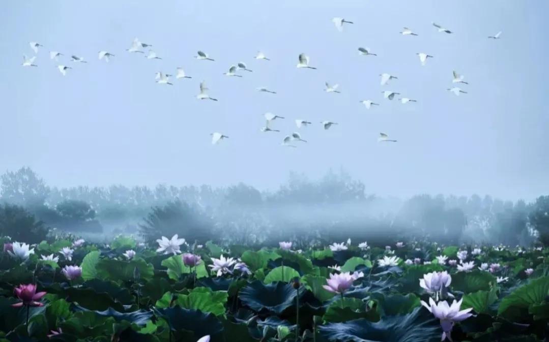 二十一、水乡风情扬州地,千年宝应忆古城